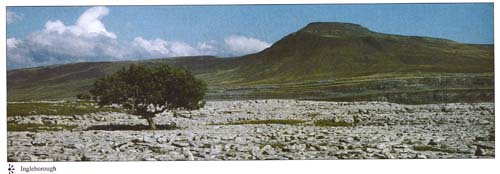 Ingleborough postcards